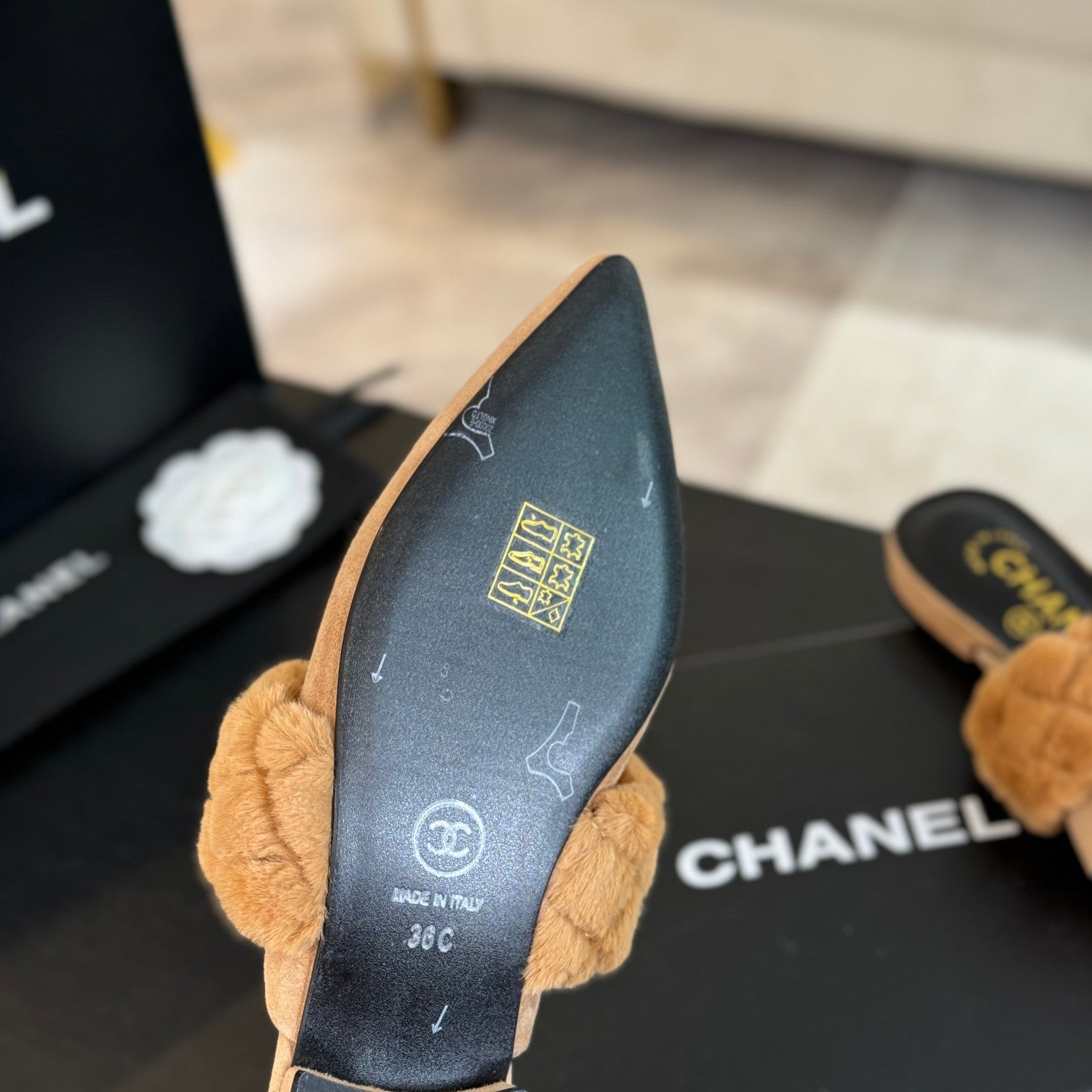 CHANEL MULE IN SEPIA BEIGE SMOOTH FLEECE WITH GOLD HARDWARE